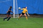 WSoccer vs Brandeis  Wheaton College Women's Soccer vs Brandeis College. - Photo By: KEITH NORDSTROM : Wheaton, women's soccer